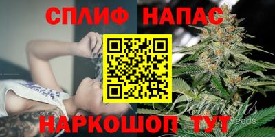 стаф Краснодар