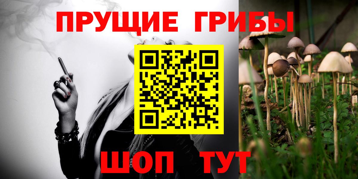 Галлюциногенные грибы Psilocybe  Вход с VPN  Клин  Псилоцибиновые грибы ЛСД 