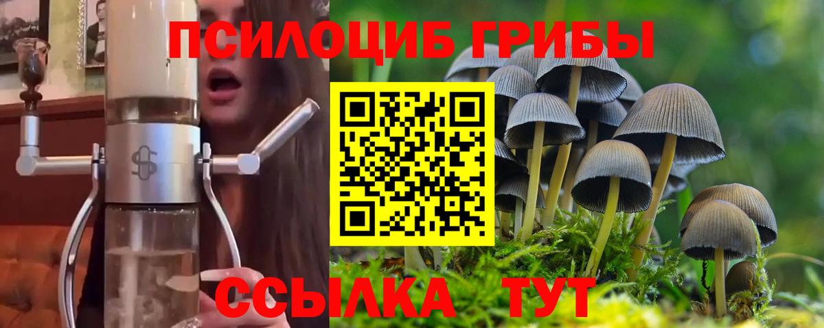 Галлюциногенные грибы мицелий Клин